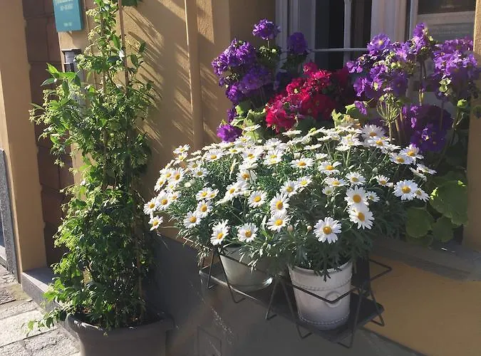 Annabella Nocleg ze śniadaniem